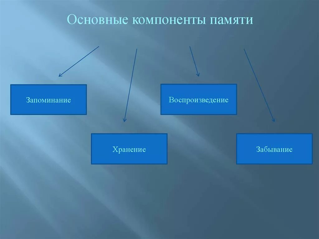 Компоненты памяти. Запоминание, хранение, воспроизведение и забывание. Компоненты памяти в психологии.