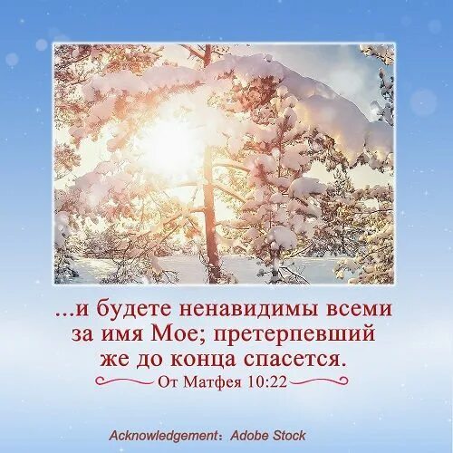 Претерпевший же до конца спасется. Претерпевший до конца спасется. и будете ненавидимы всеми за имя мое. претерпевший до конца спасется библия. будете ненавидимы всеми за имя мое претерпевший же до конца спасется.