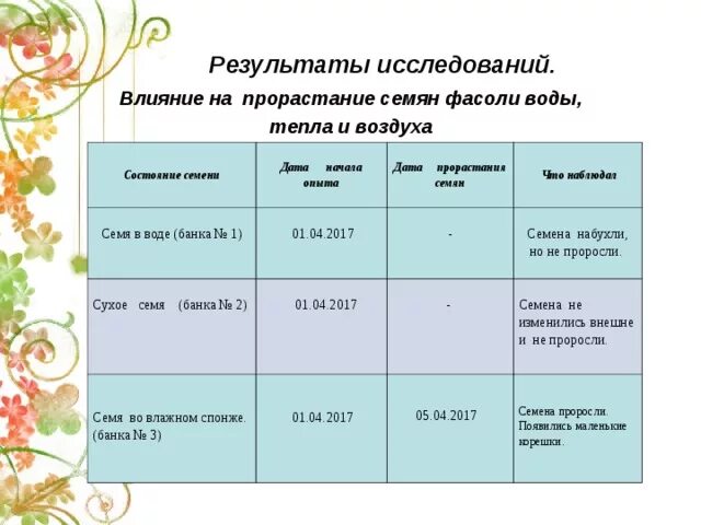Презентация Влияние света на рост фасоли