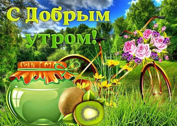 Доброе летнее утро пожелания. С добрым утром земляника. С добрым летним. Доброе летнее утро. С добрым летним утром.