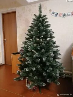 Аренда елей