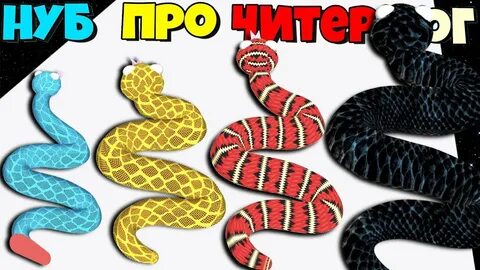 Эволюция змей