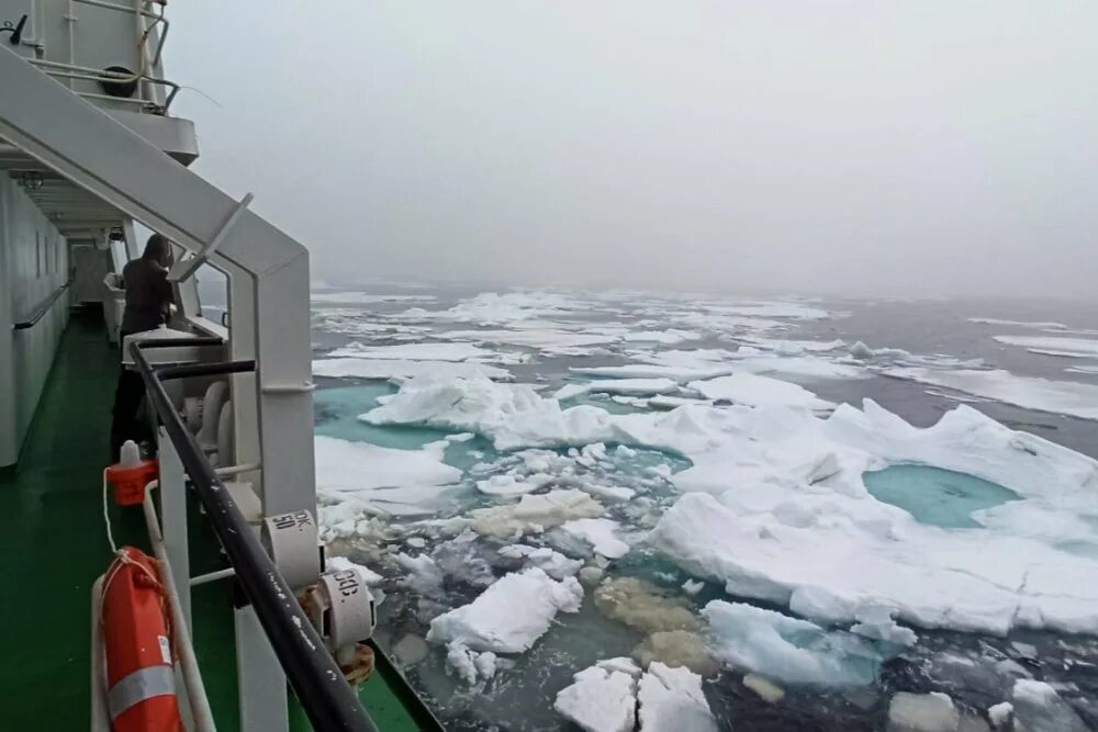 сокращение новая земля