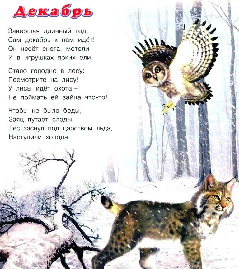Детские стихи про декабрь. Декабрь автор стихотворения. Маршак декабрь стихотворение. Стихотворение декабыр. Стих в январе в январе.