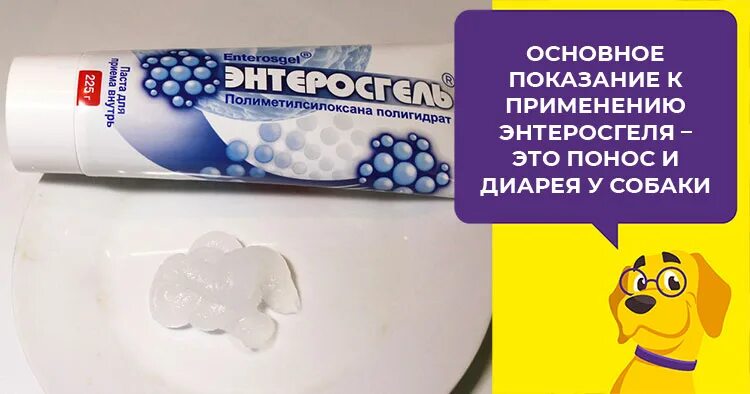 Сколько энтеросгеля давать собаке. Энтеросгель для собак. Гель от поноса энтеросгель. Дозировка энтеросгеля для собак.