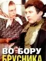 В талом снеге звон ручья (1982) - актеры и роли - Адолат Зухурова - советские фи