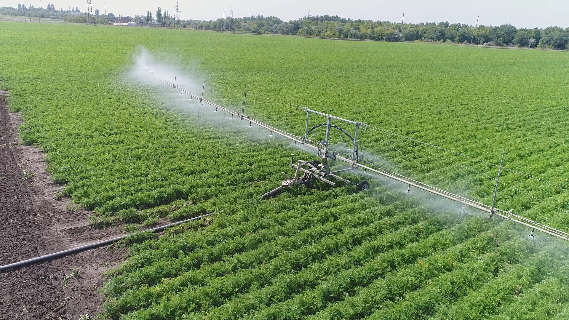 почвоочищающее орошение. сельскохозяйственные мелиорации орошение. технологии в сельском хозяйстве. автоматизация сельского хозяйства. система работы сельского хозяйства.