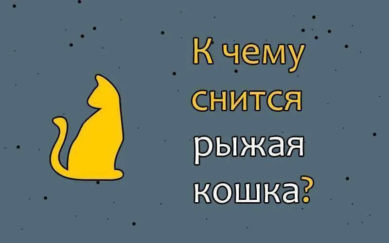 К чему снится кошка женщине замужней ласковая. Сонник рыжий кот к чему снится. К чему снится рыжий кот. К чему снятся рыжие коты. К чему снится рыжий кот женщине.