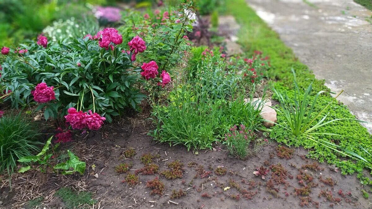 Serenity in the Garden: Hospital Makeovers - Healthcare in the Garden Garden des
