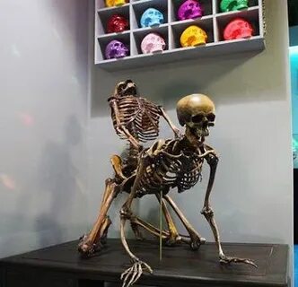 Музей точка зрения