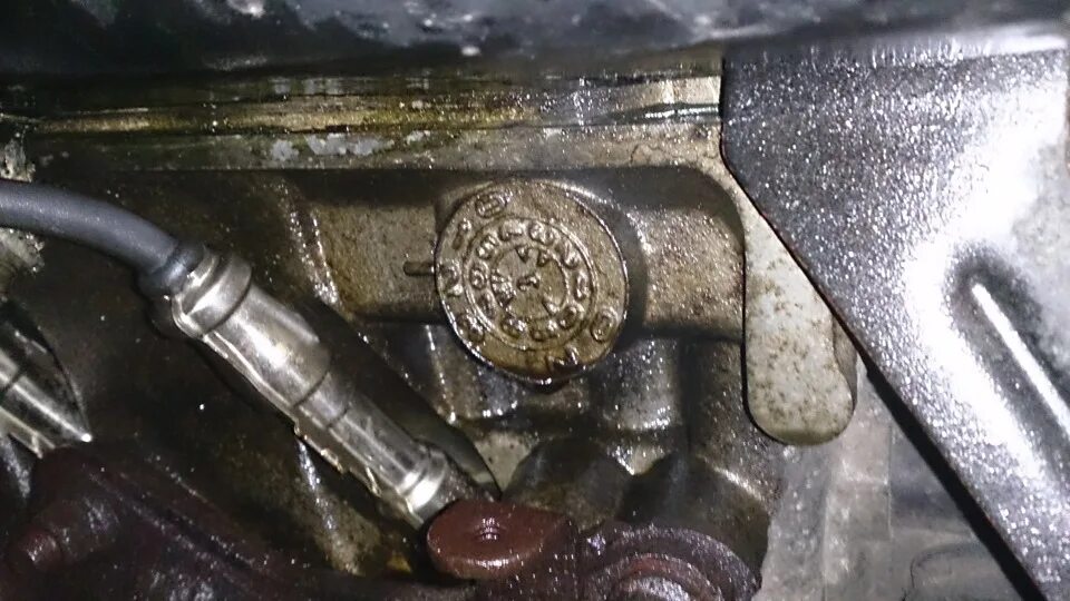 Почему выдавливает масло из двигателя. Сапун клапанной крышки солярис 1.6. фольксваген гольф 1.4 2002 выбрасывает масло. выдавило масло из двигателя. давануло масло с двигателя.