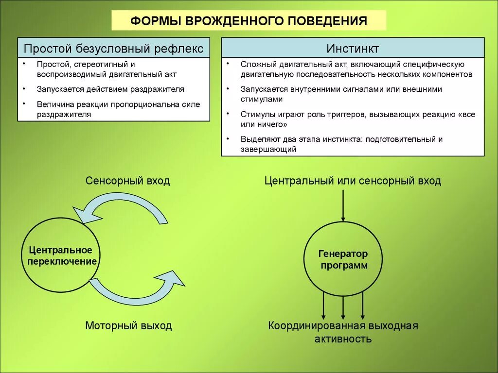 Роль безусловных рефлексов в поведении. Врожденные формы поведения безусловные рефлексы. Безусловные рефлексы и инстинкты. Формы человеческого поведения. Безусловные рефлексы и инстинкты таблица.