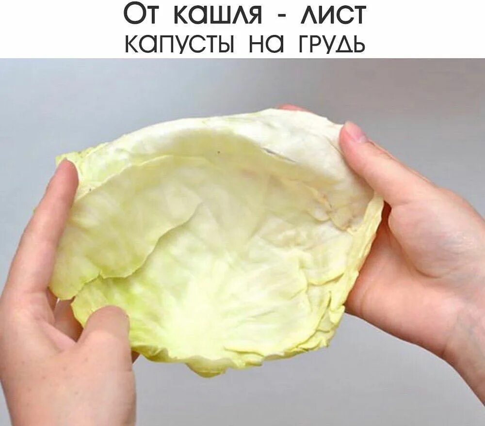 Можно использовать капустный лист. Лист капусты. компресс с капустным листом. компресс из капустных листьев. компресс из меда и капусты.