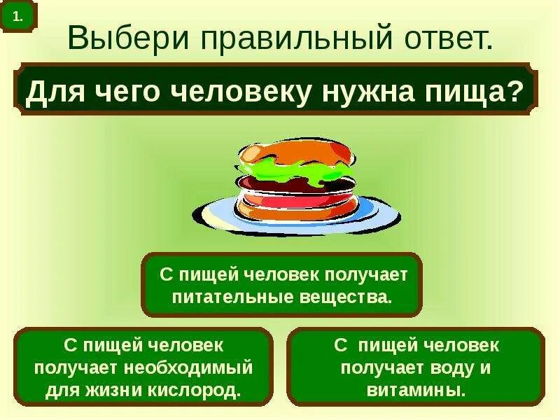 Для чего нужна пища. Для чего нужна еда человеку. Зачем человеку нужна пища. Для чего нужна пища человеку 3. Ответы на тест здоровое питание дошкольников