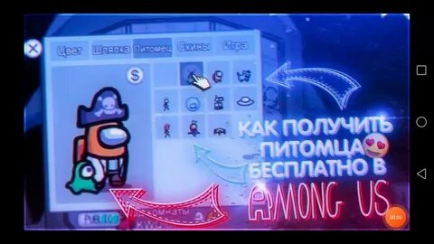 Как получить питомца