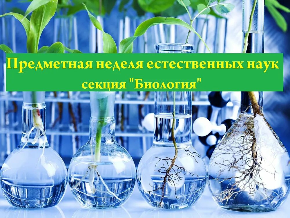 Сайты естественных наук. Предметная неделя естественных наук. неделя естественных най ук. неделя химии биологии и географии. предметная неделя естественных наук в школе.