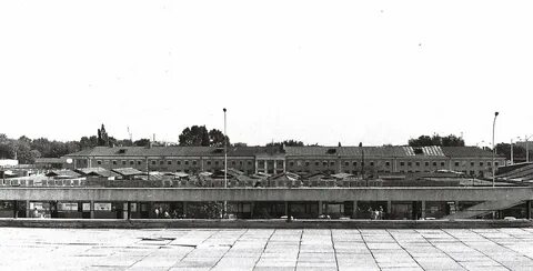 Краснодар 80 х