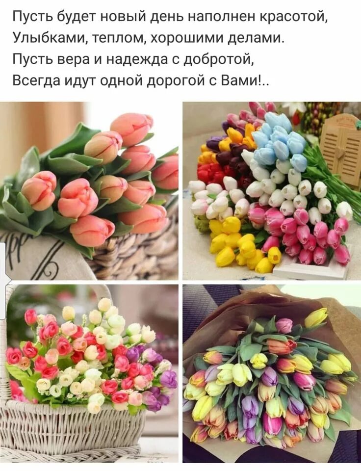 Пусть будет теплом наполнен ваш дом. Хорошего дня тюльпаны. букет тюльпанов с добрым утром. пусть каждый день будет наполнен радостью. открытки с добрым утром с тюльпанами.