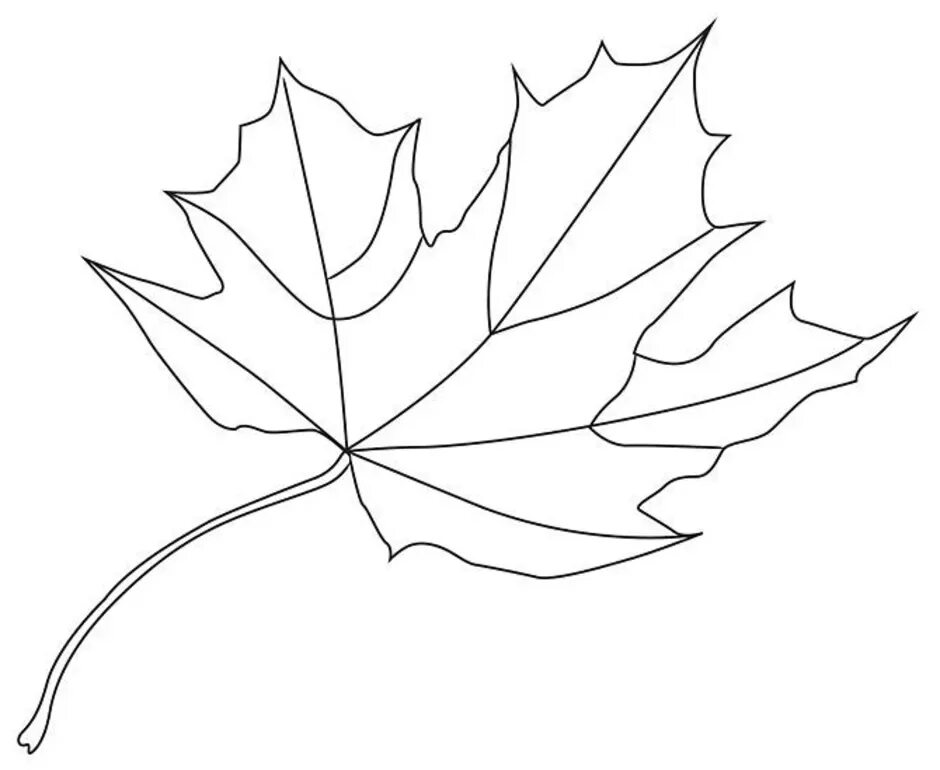 Листья карандашом легко. Рисование на листьях клена. Лист клена карандашом. Кленовый лист рисунок карандашом. Осенние листья рисунок карандашом.