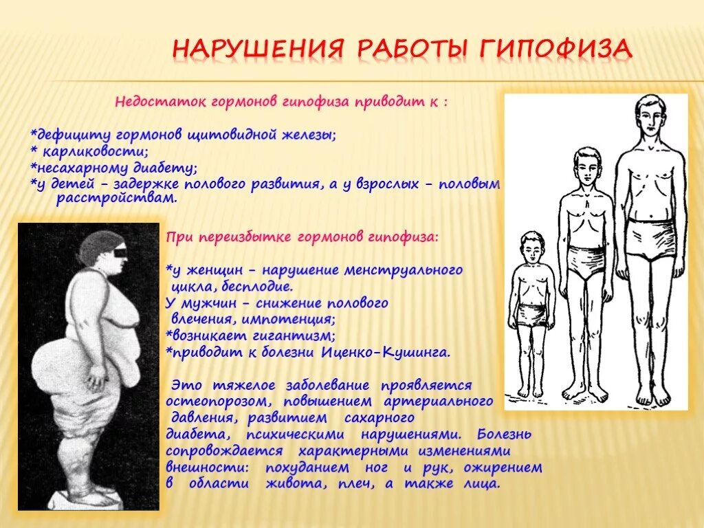 Гипофиз последствия. Нарушение функции гипофиза. Нарушение функции гипофиза болезни. Функция гипофиза и при нарушении. Заболевания при нарушении работы гипофиза.