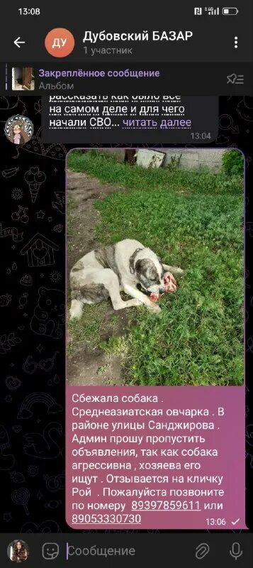 Дубовский базар. Бузулук новости на сегодня. Дубовский базар последние новости. Дубовский базар. Дубовский базар 34.