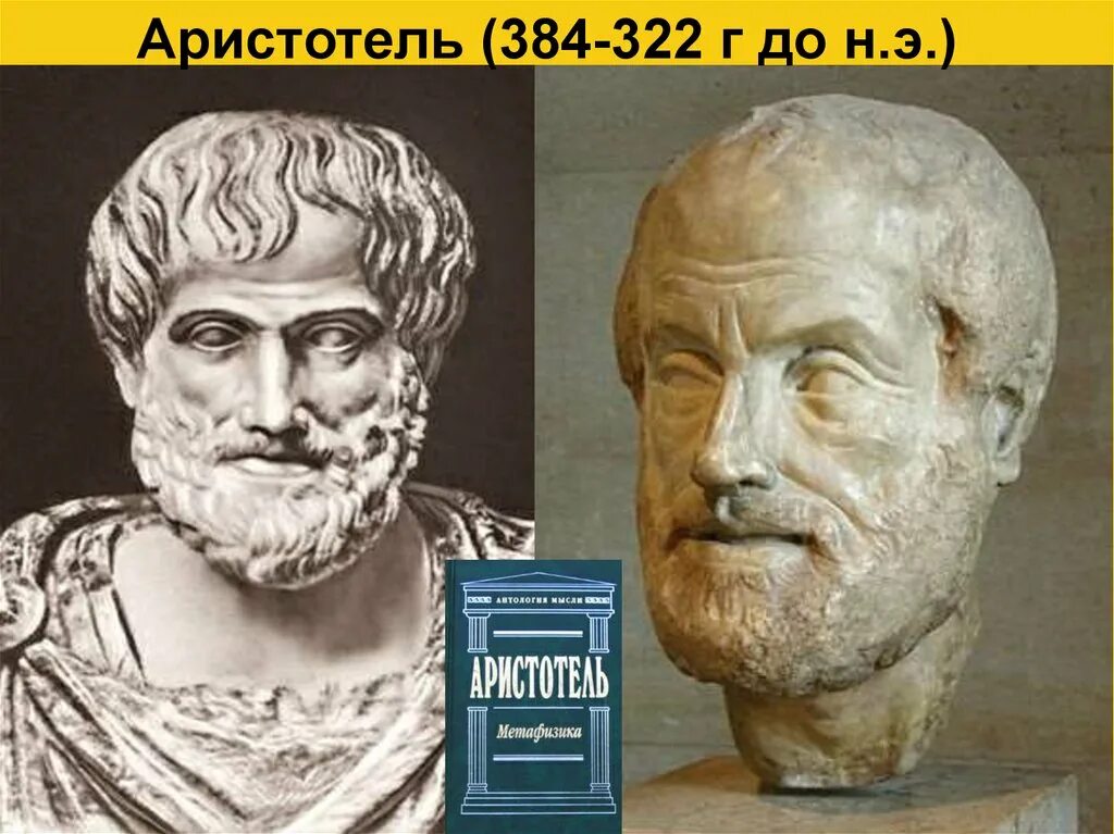 Аристотель (384–322 до н. э.), греческий философ.. Аристотель 384-322. Аристотель идеи. Аристотель из Стагиры.