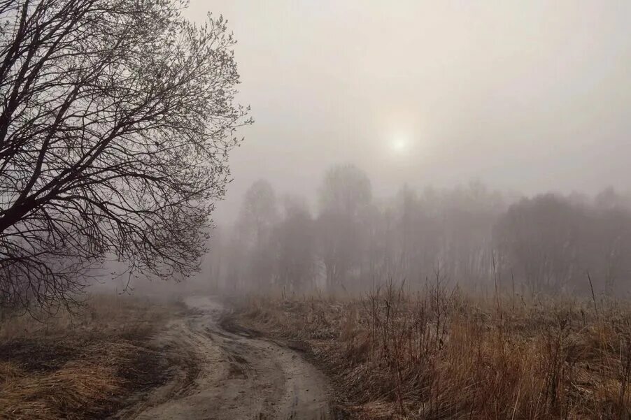 Поздняя осень слякоть. Осень слякоть дождь. Поздняя осень туман. Впр 8 класс русский утренний туман