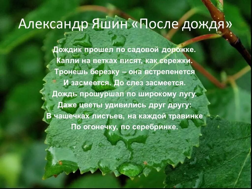 Текст утро после дождя было. Стихотворение после дождя. Стихи на тему после дождя. Рассказ о Дожде. Стихотворение про дождь.