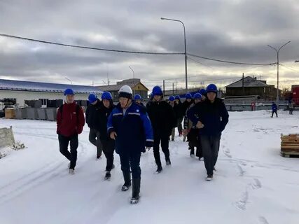 Арктический агротехнологический