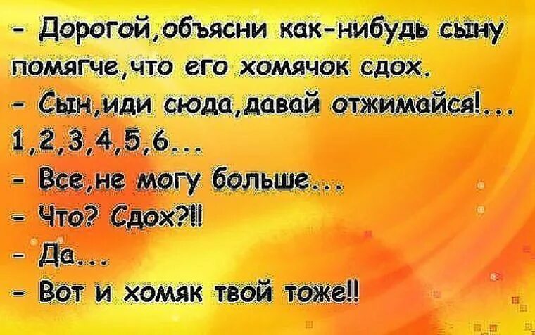 Скажи сынок. Анекдот как объяснить это ребенку. Что сдох? Вот и хомяк твой тоже. Сына иди сюда. Анекдот вот и хомячок помер.