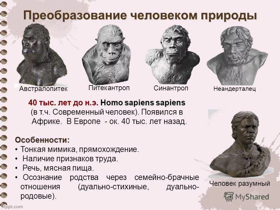 человек умелый неандерталец таблица. австралопитек синантроп. синантроп австралопитек. питекантроп буриан. австралопитек питекантроп синантроп неандерталец кроманьонец.