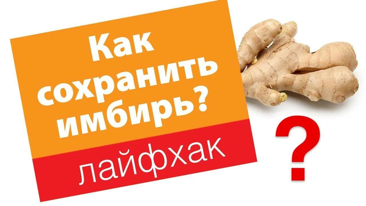 Как сохранить имбирь. Как хранить имбирь. температура хранения имбиря. корень имбиря температура хранения. как хранить долго имбирь в холодильнике.