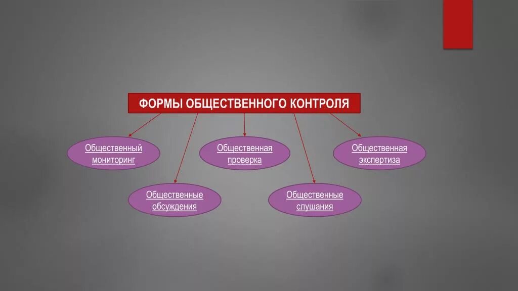 Общественный совет контроль. Виды общественного контроля. Формы общественного контроля. Общественный контроль осуществляется в формах. Общественный контроль схема.