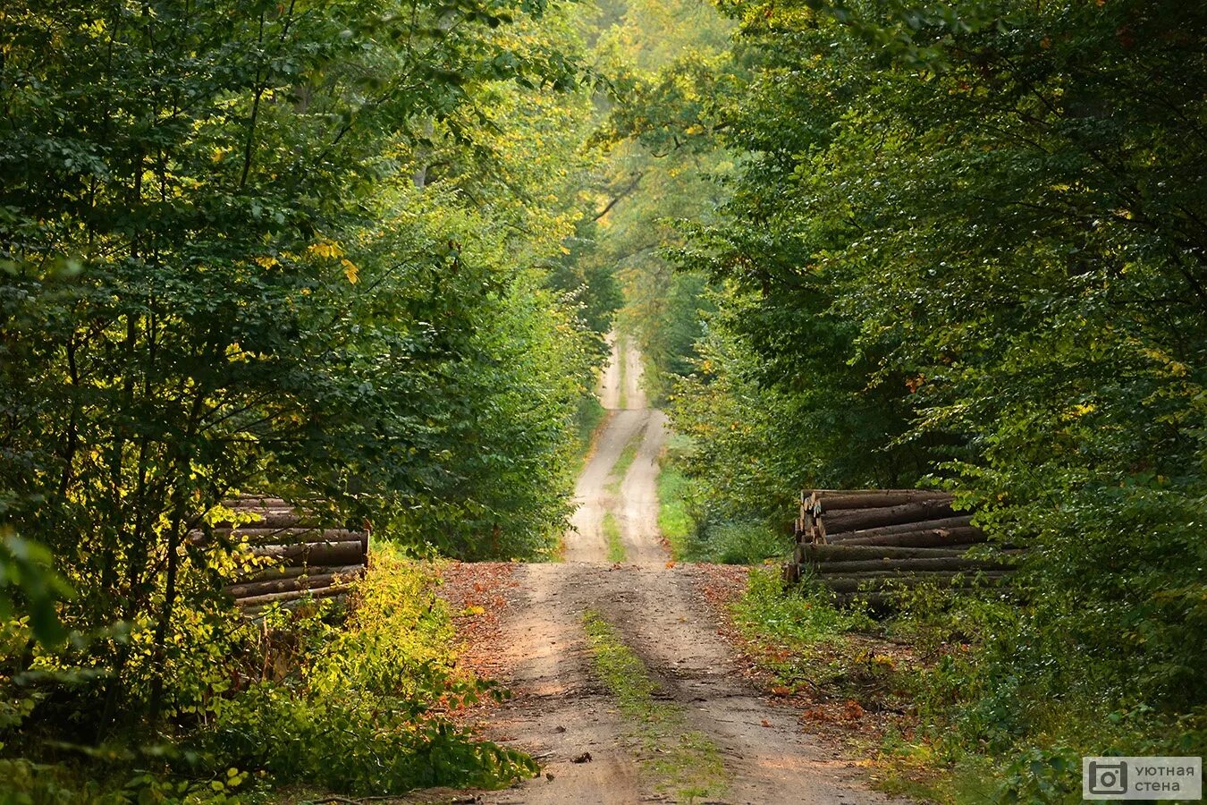 Жизненная дорога. Прямая дорога. Ввысь вдаль. Уходящая в даль. Дорога в даль.