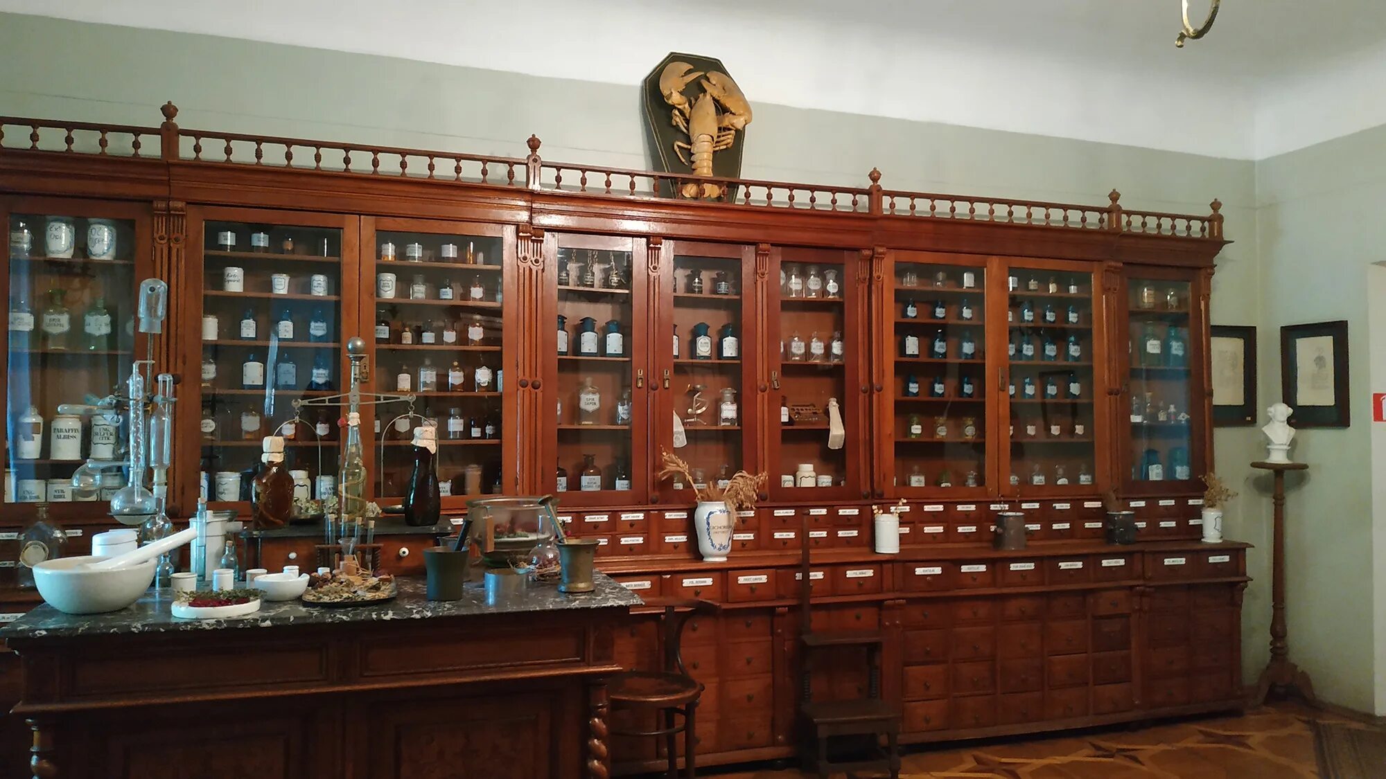 гоголя 43/1 новосибирск аптека. планета здоровья аптека ставрополь тухачевского. виталюкс поликлиника. аптечные сети новосибирска. первая аптека новокузнецк.