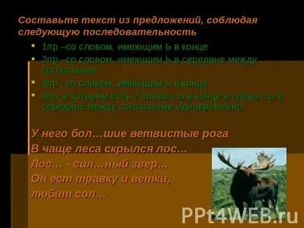 В чаще леса предложения