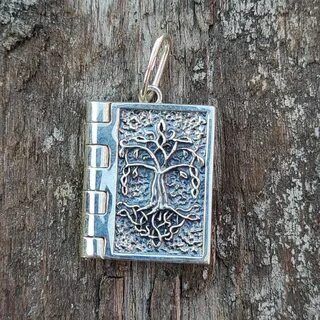 Медальон книга