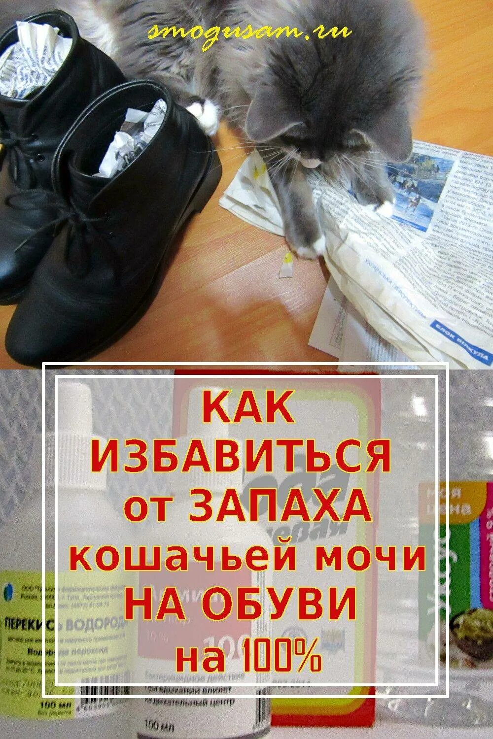 Как убрать запах мочи кошки. Уничтожить запах кошачьей мочи. вывести запах кошачьей мочи. средство от кошачьей мочи на обуви. как убрать запах мочи кота.
