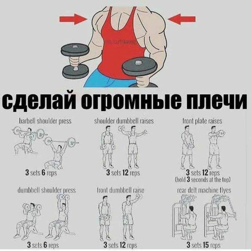 Прокачка плечей. Тренировка плеч в тренажерном зале для мужчин план тренировок. упражнения для плеч с гантелями программа тренировок. прокачка плеч в тренажерном зале для мужчин на массу. упражнения на плечи в тренажерном зале для мужчин.