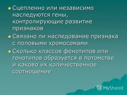 Независимо или не зависимо