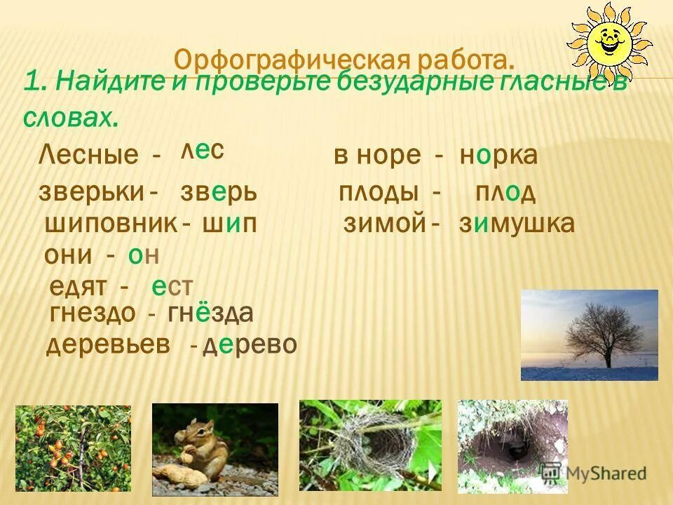 В названии лесного зверька две буквы. Лесные слова 3 класс родной язык. Безударные гласные лес леса. Лес -Лесной безударные гласные. Слова признаки к слову лес.