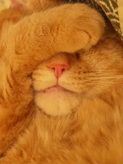 i?id=8fbf40d339153cdc9c9854f95fcac1c7b9c