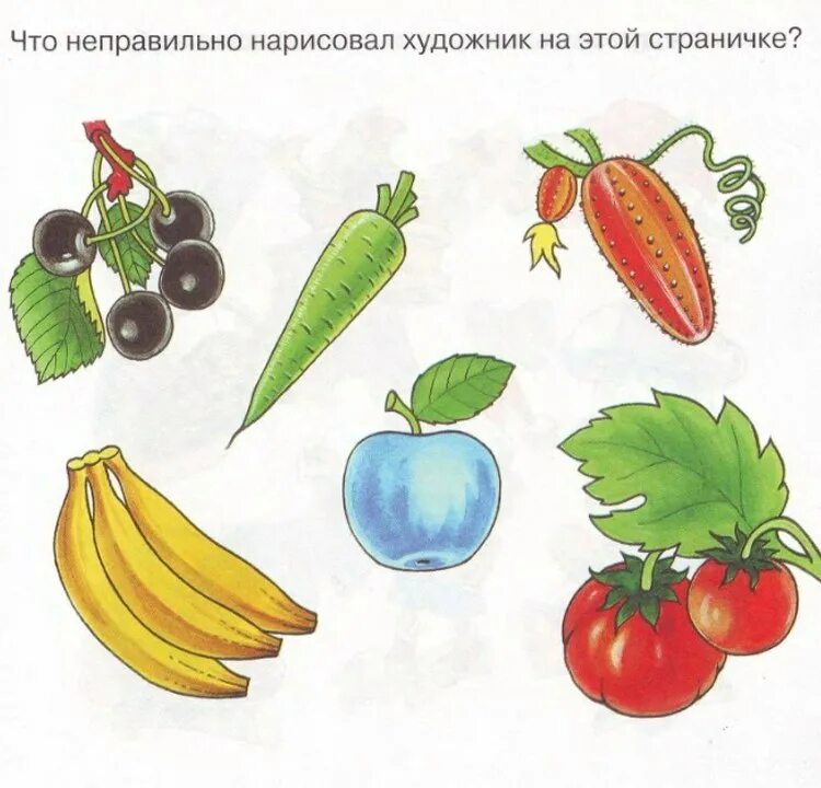Что художник нарисовал неправильно исправь ошибки. Что неправильно нарисовал художник. игровое упражнение «что перепутал художник». что перепутал художник овощи. дидактическая игра что неправильно.