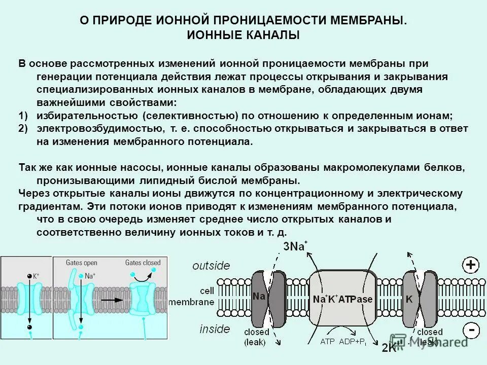 изменяет проницаемость. изменяет проницаемость. изменяет проницаемость. проницаемость и пористость пласта. проницаемость дарси пород.