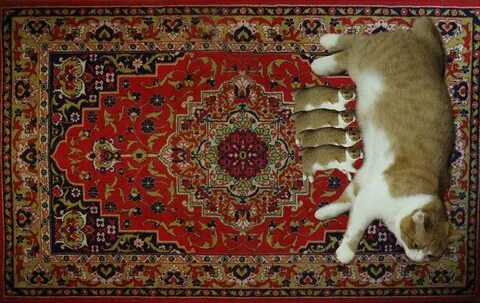 Ковровые картины