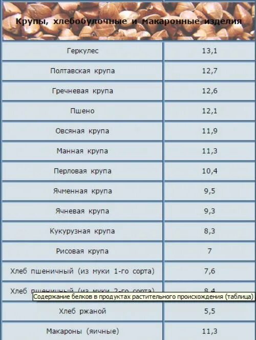 Растительные источники белка. Растения с высоким содержанием белка. Семена с белком. Растительный белок продукты. Количество белка в растительных продуктах