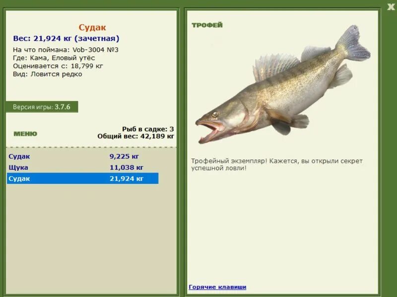 Где ловить судака. На что ловить судака в январе. Хищная рыба семейства окуневых. Где ловить судака. Рыбалка на волге зимой.