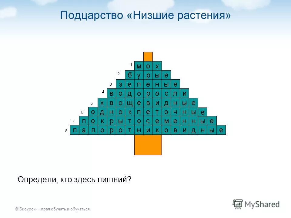 Кроссворд на тему царство живой природы. Кроссворд по биологии 5 класс про животных. Кроссворд растения и животные. Кроссворд по теме царство живой природы. Кроссворд по биологии 5 класс на тему растения с ответами.