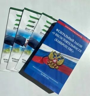 Долг эксперт