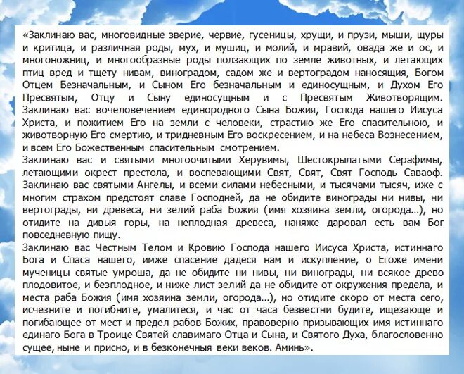 Молитва трифону о помощи. Молитва св мученику трифону. молитва святому трифону от гадов. заклинание святого трифона от гадов. молитва святого патрика.